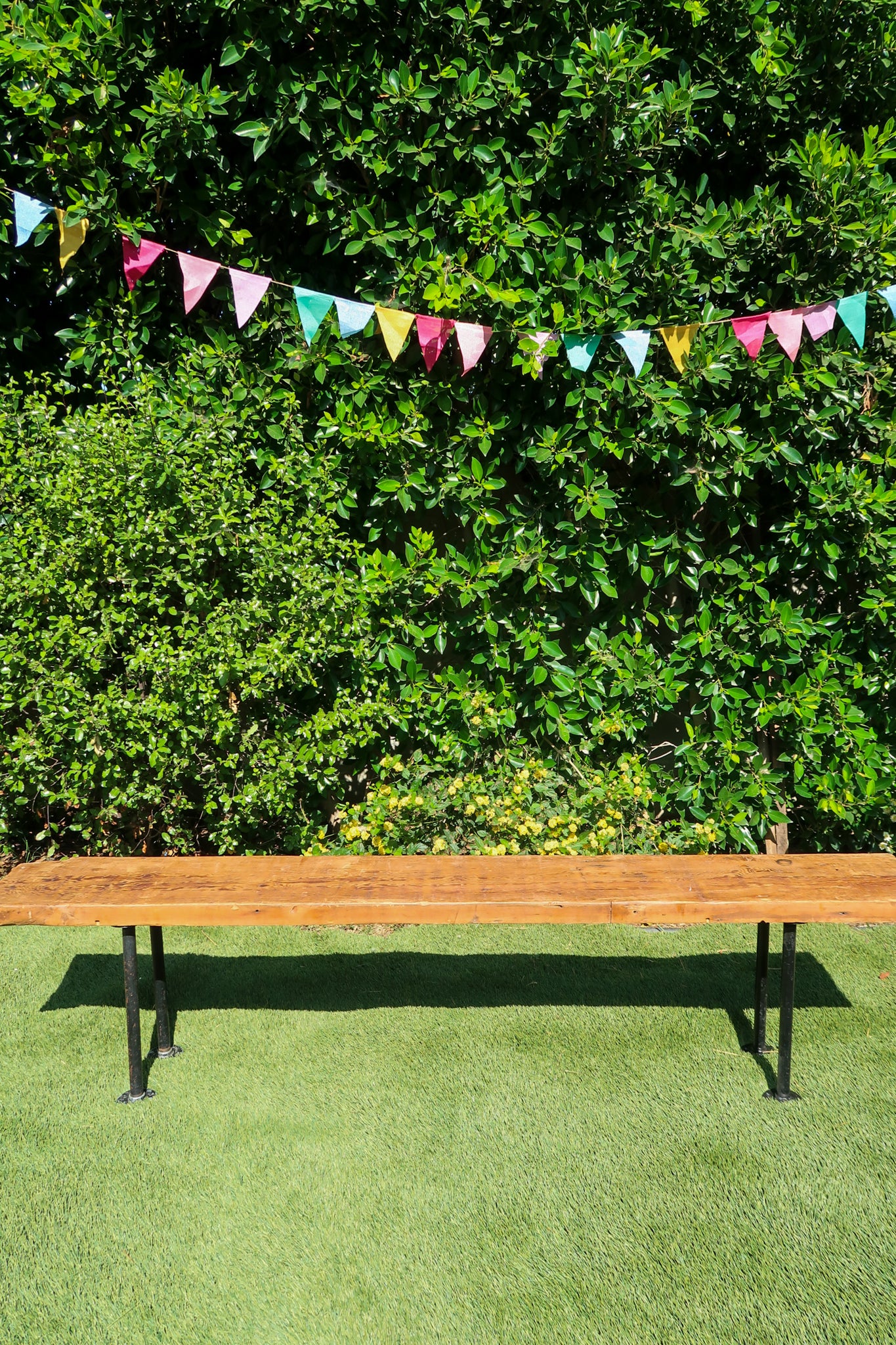 Adult Pine Wood Bench