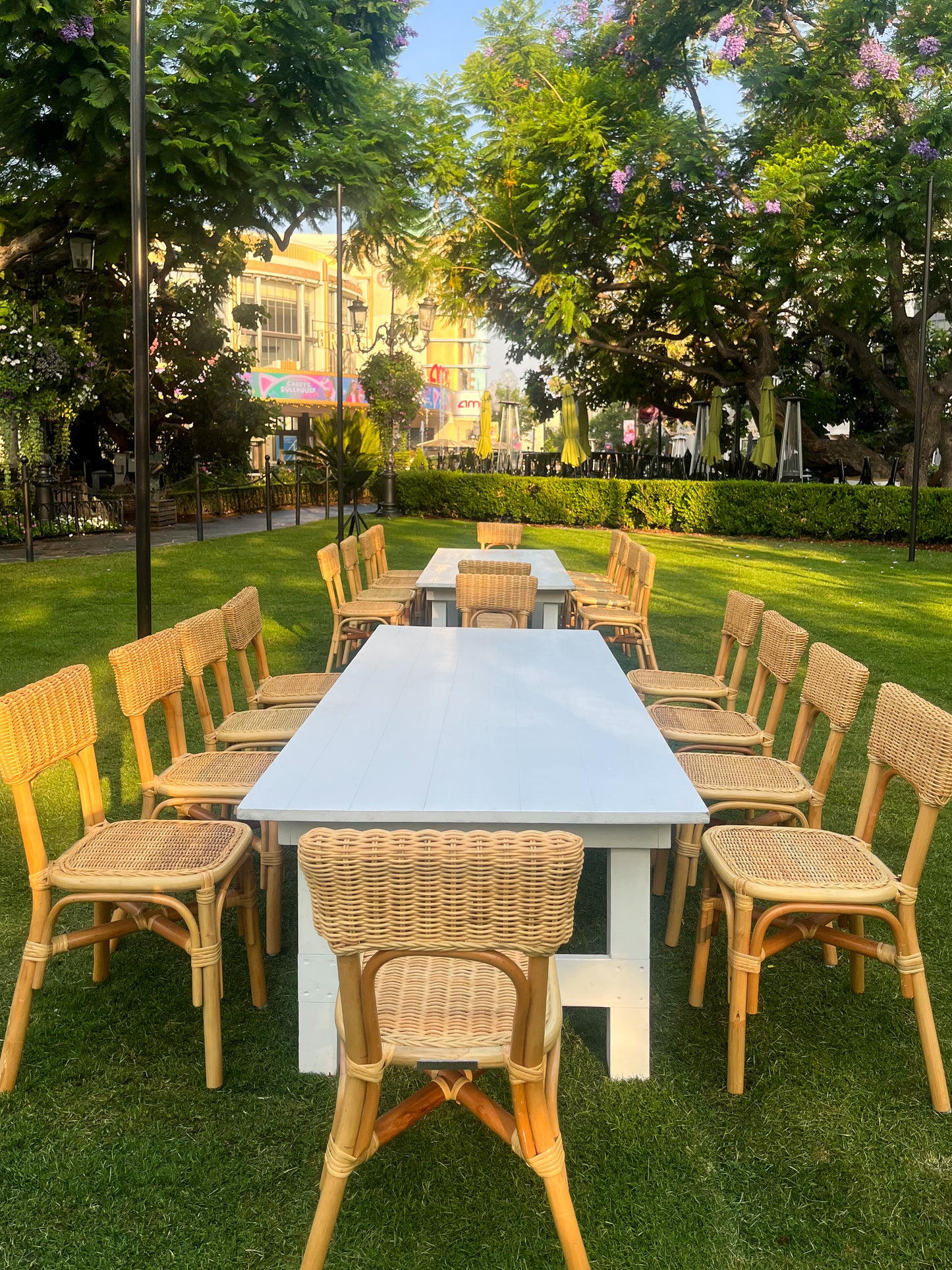 Napoli Kids Dining Set in Natural Wood - New!
