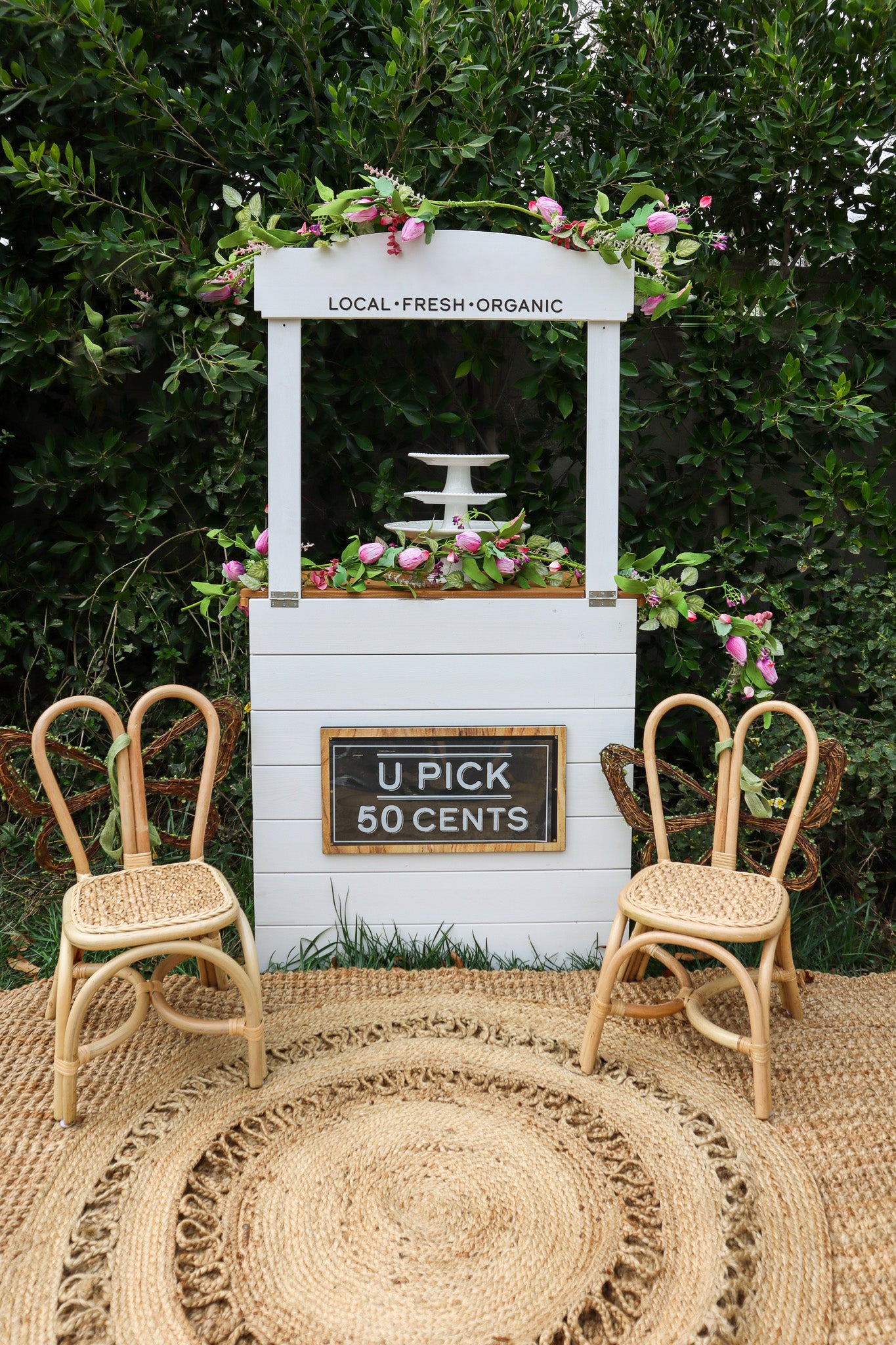 Jute Rugs- various sizes
