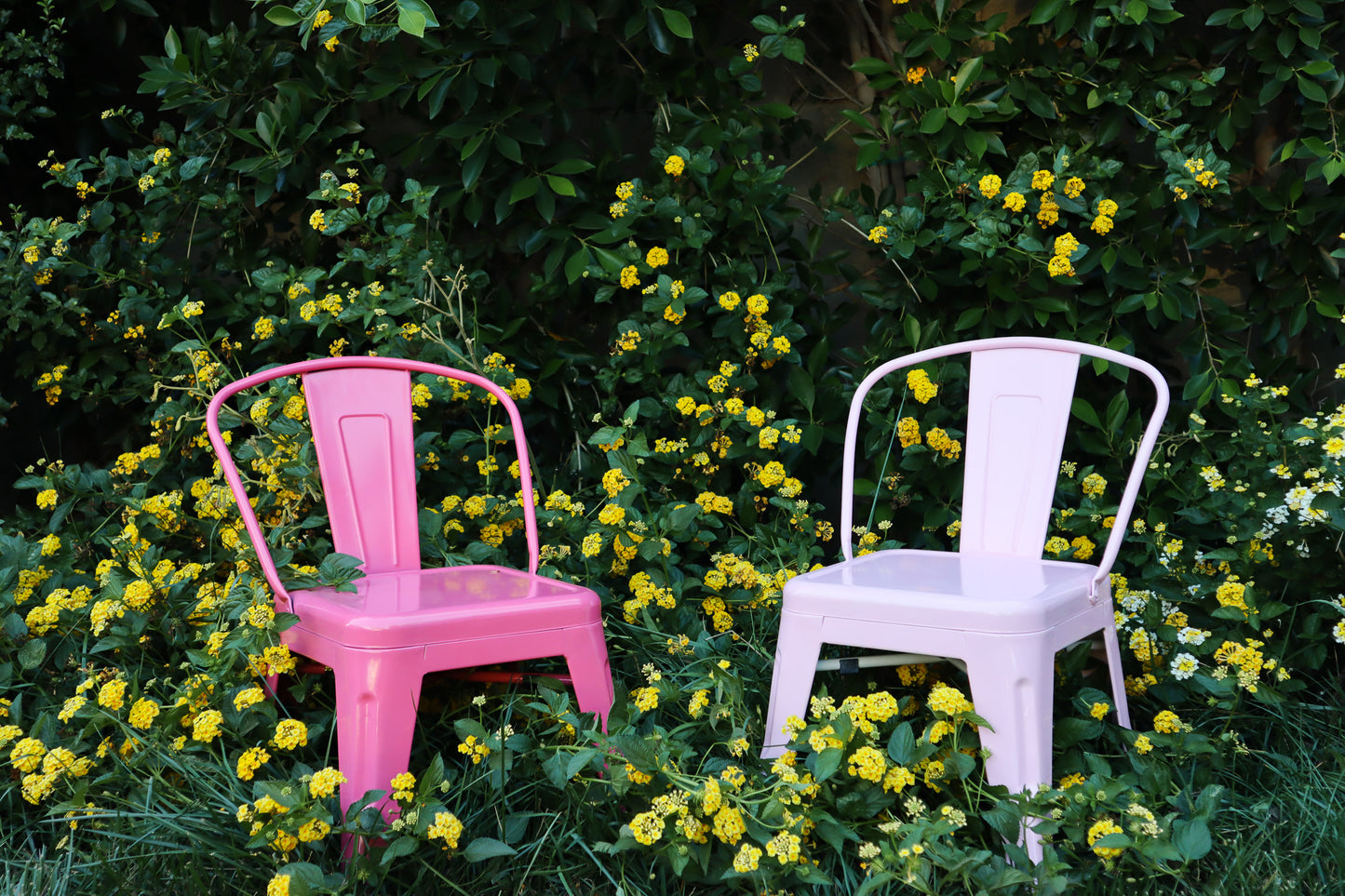 Introducing the newest member of our exclusive Little Calabasas Collection! Elevate your upcoming event with our timeless modern design, now offered in a striking hot pink hue. This versatile addition seamlessly complements all our diverse dining sets.