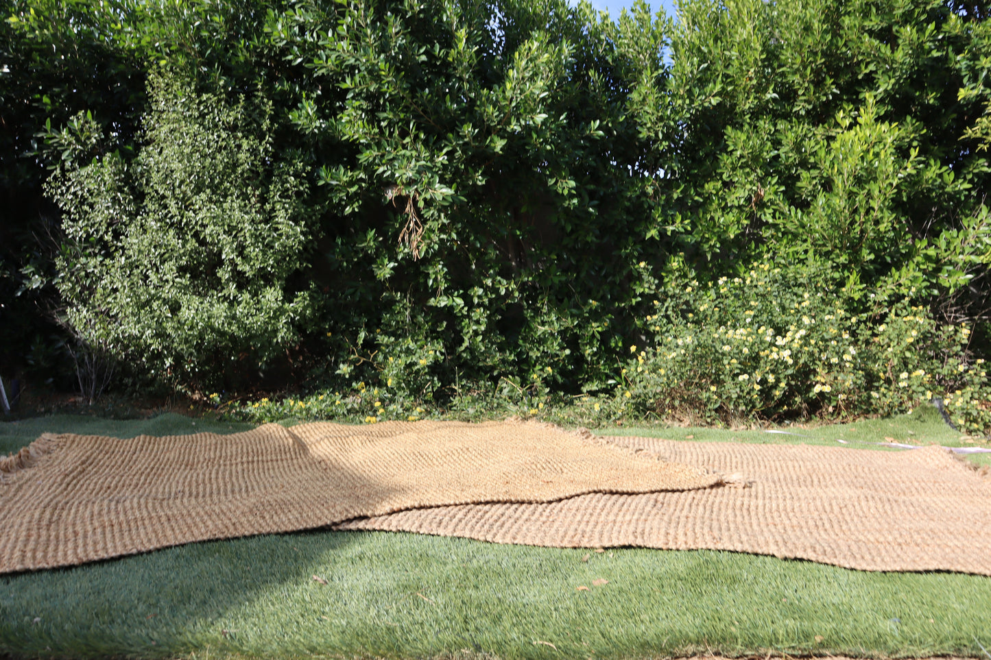 Jute Rugs- various sizes