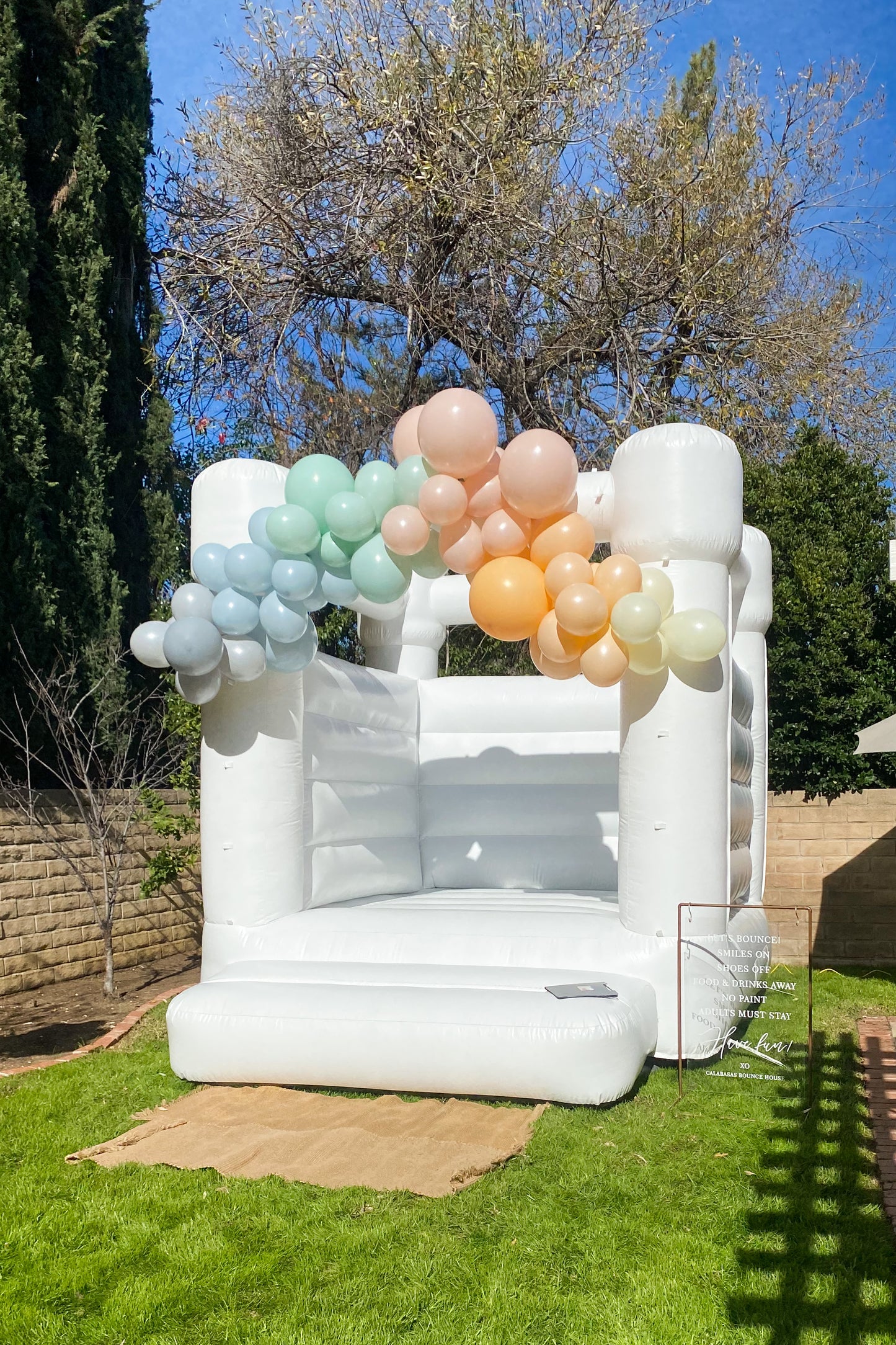 Zuma mini Bounce House