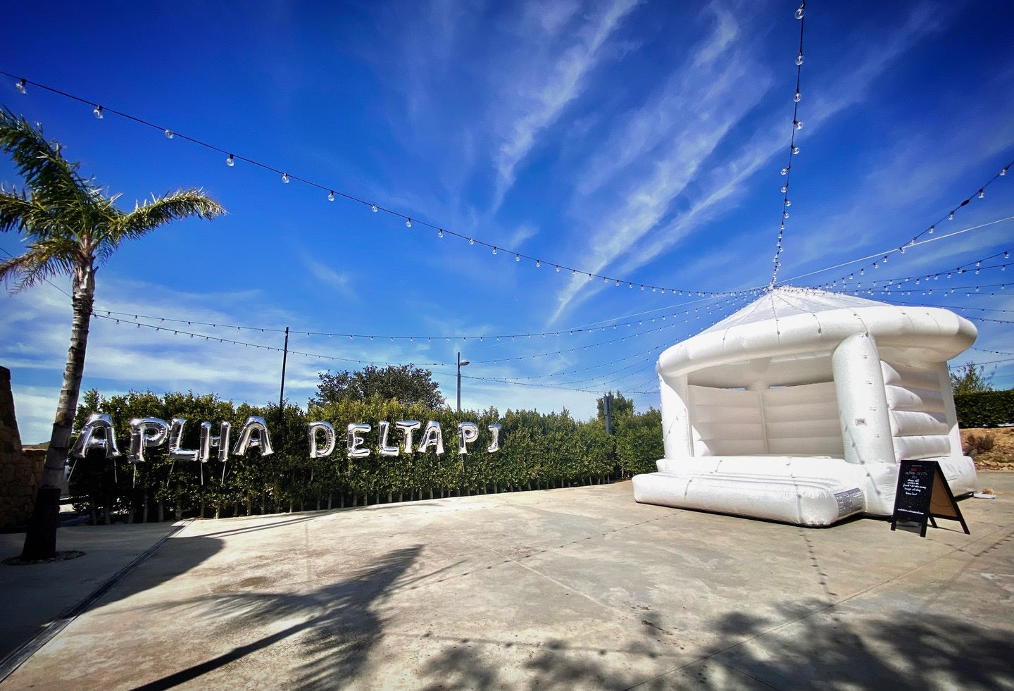 Paradise Cove Bounce House