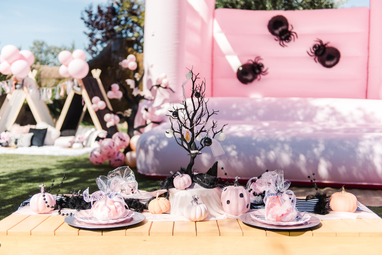 Hollister Bounce House- Pastel Pink