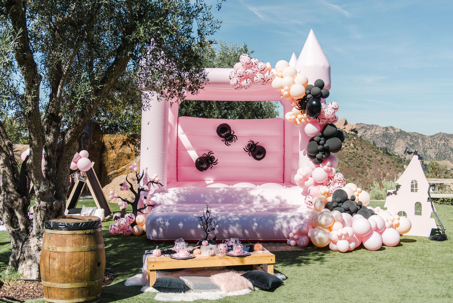 Hollister Bounce House- Pastel Pink