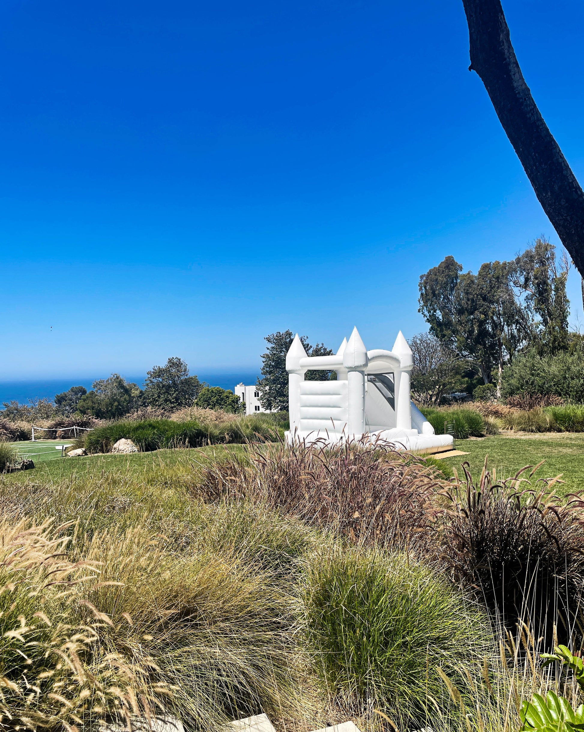 Calabasas Bounce House, party rental, White Bounce House Los Angeles, White Bounce House ventura county, party rental los angeles, party rental ventura county, bounce house calabasas, kids party los angeles, kids party los angeles, calabasas party rentals, Malibu bounce house, malibu party rentals, malibu kids party