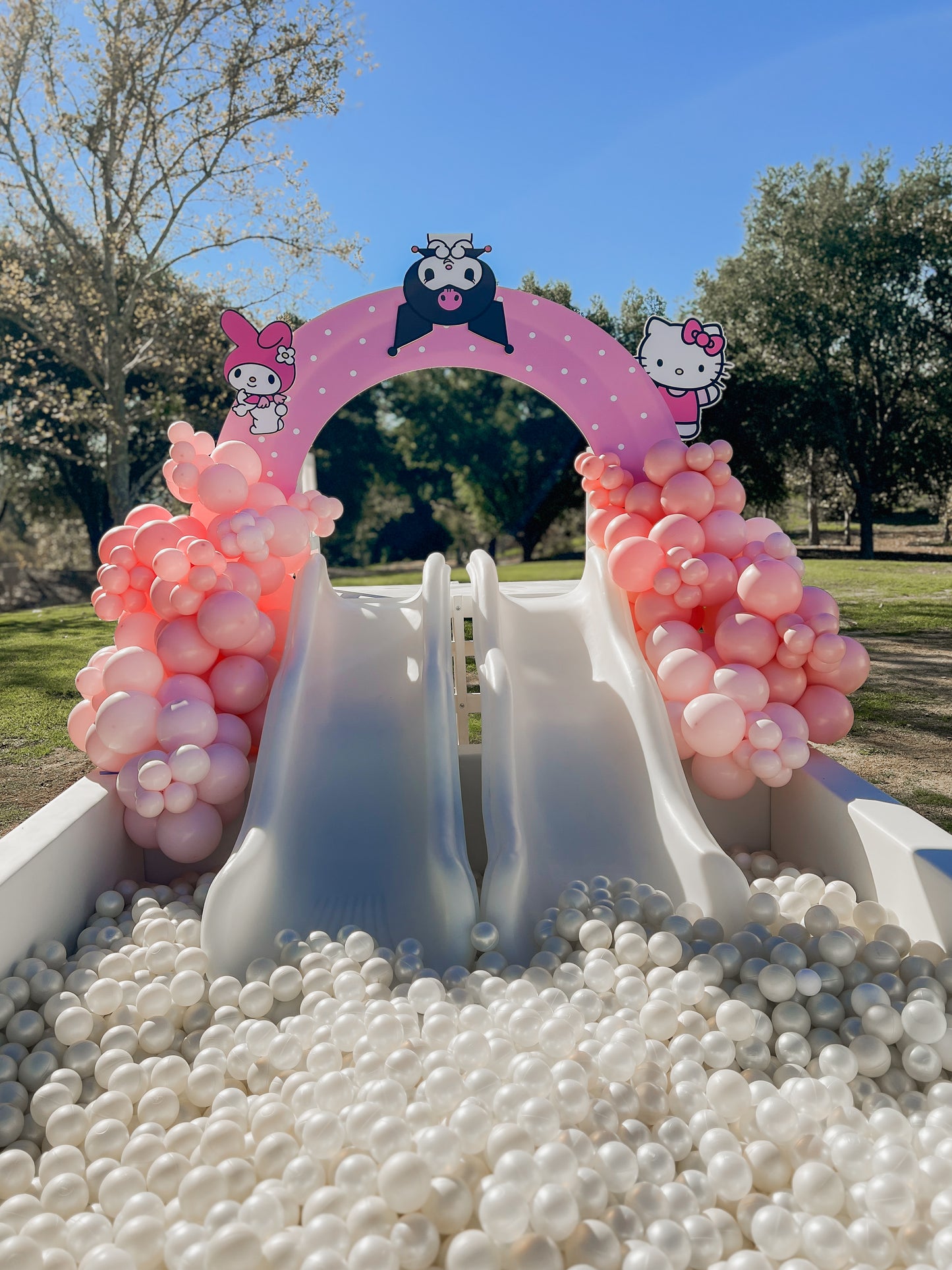 Sea Vista Ball Pit with Double Slide 8X10- New!