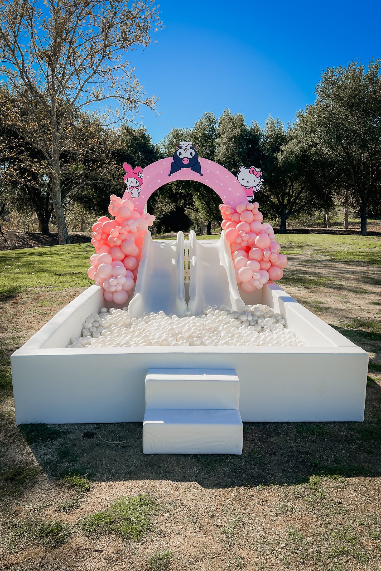 Sea Vista Ball Pit with Double Slide 8X10- New!