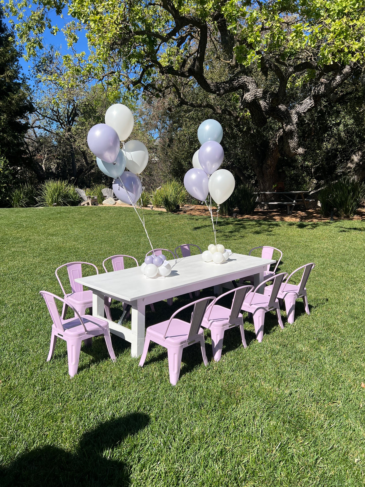 Oaks Kids Dining Set-Lavender